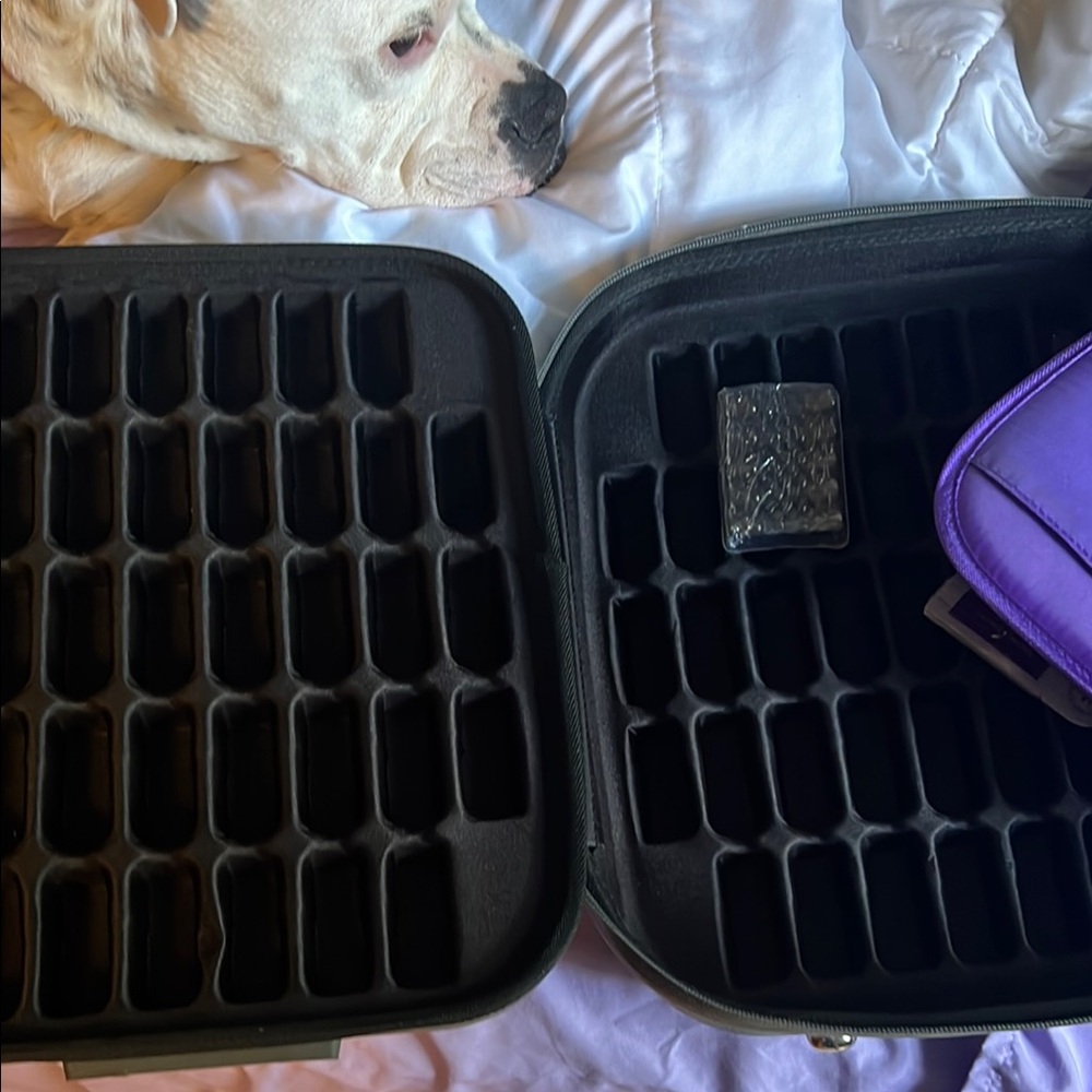 Young Living Black Organizer with Purple Pouch